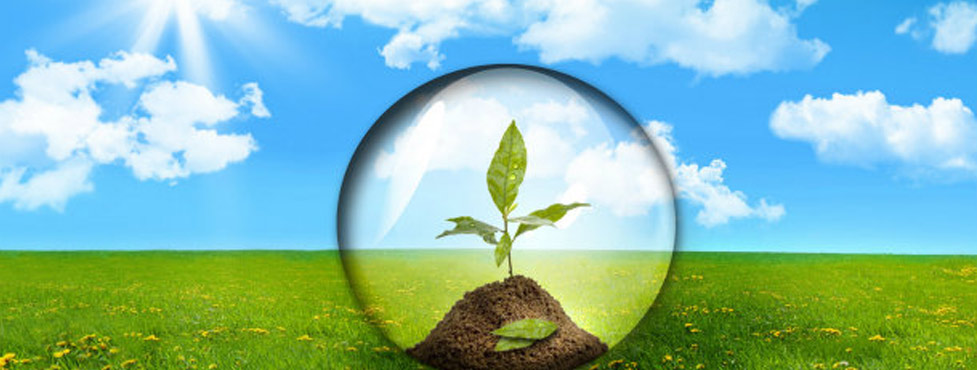 18 стъпки за екологична политика в полза на здравето ни