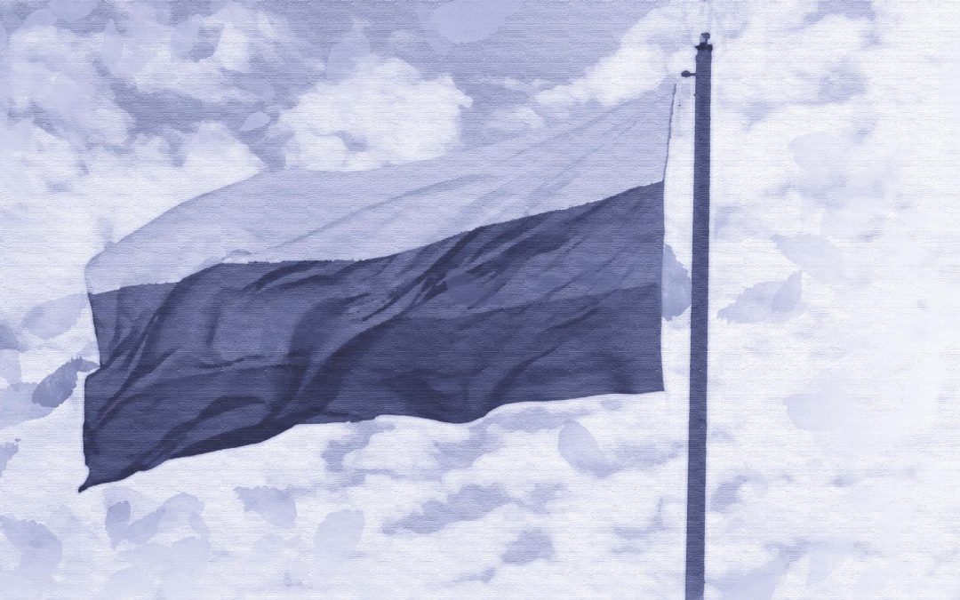 Парадоксът на етнонационализма #Годишникъ2019