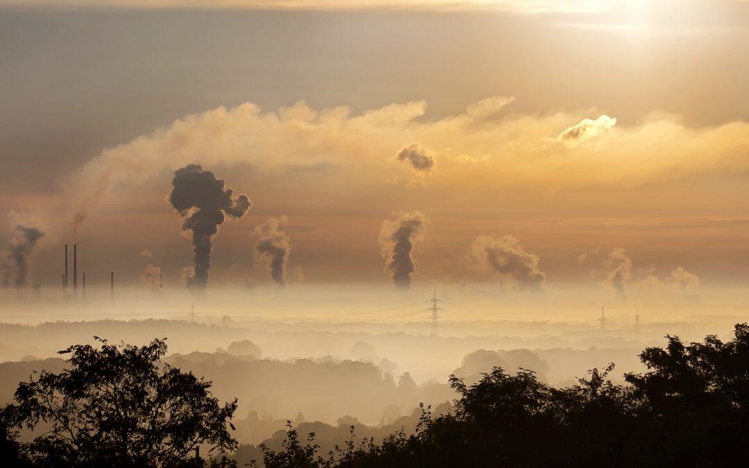 „Зеленият ГУЛАГ“ на въглеродните ограничения